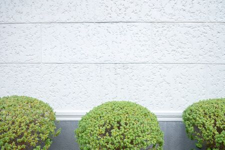 brick wall texture or backgroundの写真素材