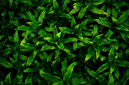 Abstract blur exhibition mall event background