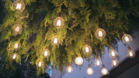 Light lamp and plant decoration ceiling design by hanging electric vintage bulb. Interior green leaf indoor background, flower natural style garden chandelier in modern home, cafe and restaurant.の写真素材