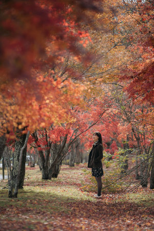 A young asian woman standing among vibrant autumn trees, enjoying peaceful nature, surrounded by colorful red and orange leaves, serene moodの写真素材