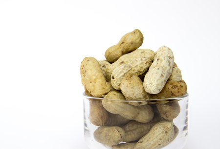 Boiled peanutsの写真素材