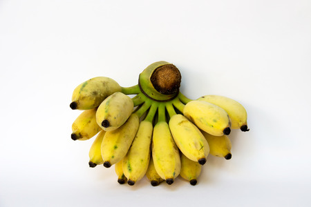 Cultivated Banana : For Thai ingredient dessert recipes such as glutinous rice steamed in banana leaf, banana in coconut milk etc.の写真素材