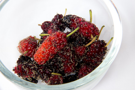 Ripe mulberry berries in a glass bowlの写真素材