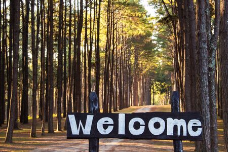 Wooden welcome sign at pine tree forestの写真素材