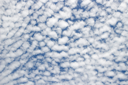 Altocumulus clouds on blue sky : look like a flock of sheepの写真素材