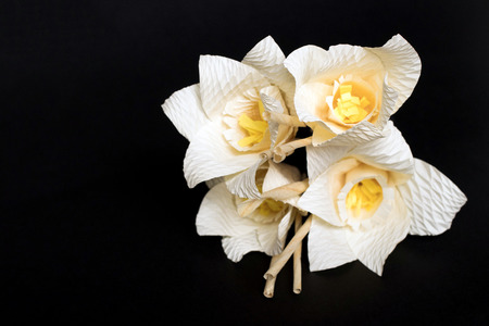 Kind of wood flower isolated on black background; to be placed on the site of cremation in Thailand. (Dok Mai Jan)の写真素材