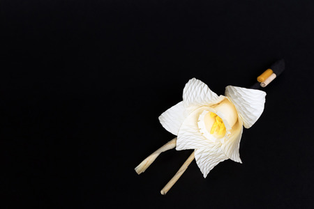 Kind of wood flower isolated on black background; to be placed on the site of cremation in Thailand. (Dok Mai Jan)の写真素材