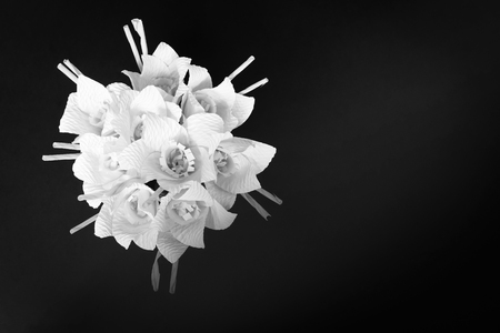 Kind of wood flower isolated on black background; to be placed on the site of cremation in Thailand. (Dok Mai Jan)の写真素材