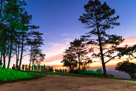 Dramatic landscape of silhouette tree with sunrise at The peak of Phu Ruea National Park in Loei Province, Thailand.の写真素材