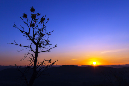 Early morning dawn sky over the mountains with silhouette leafless tree. A beautiful day begins with a beautiful view.の写真素材