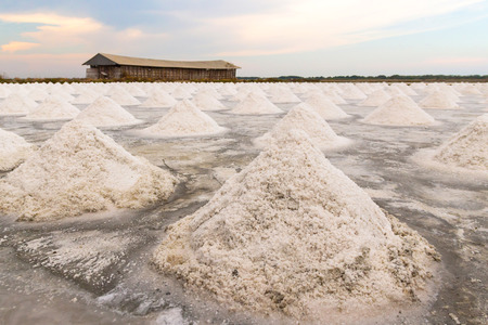 Heap of sea salt in salt farm ready for harvest with beautiful sunset in Samut Songkhram,Thailand. Salt production is made from sea water and sunlight until dry into crystal.の写真素材