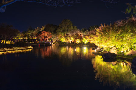 Nabana No Sato 2019-2020 (Oct 19 - May 6) is one of the most popular illumination events in Japan during winter. Over 8 million LED lights are used, Nagoya, Japan.のeditorial素材