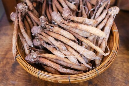 Fingerroot or Chinese's Ginger on weave threshing basket.の写真素材