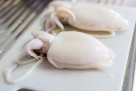 Raw squid on white cutting board; selective focus.