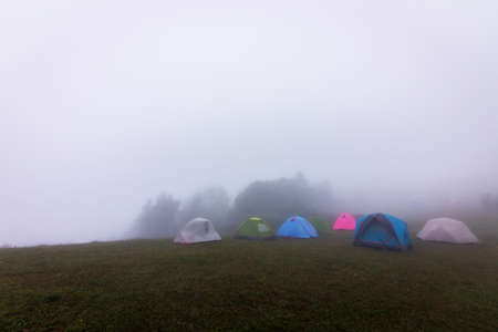 Camping tents on the meadow in a foggy day.の写真素材