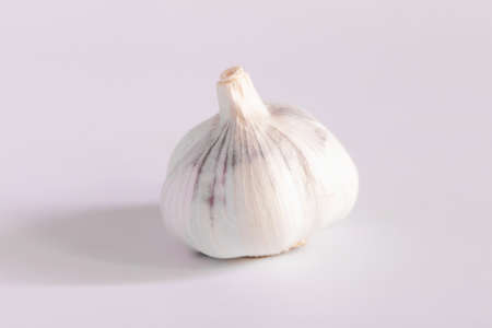 Whole garlic isolated on whiteの写真素材