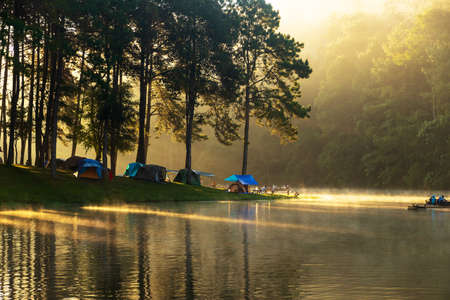 The beautiful morning with sunlight pierce through the forest with morning fog over water at PangUng...