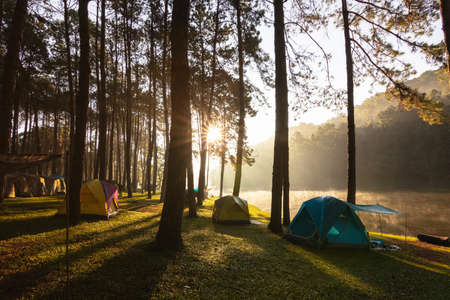 Camping and tent under the pine forest in a beautiful morning with beams of sunlight pierce through the forest at Pang Ung Lake in Mae Hong Son, north of Thailand.の写真素材