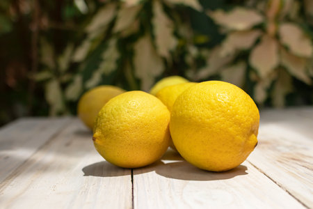 Lisbon lemon on wooden table background.の写真素材