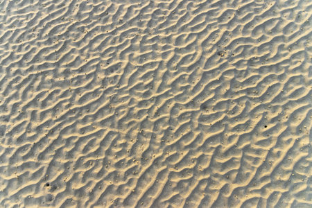 Wave of sand with sunlight. Texture and background on the beach.
