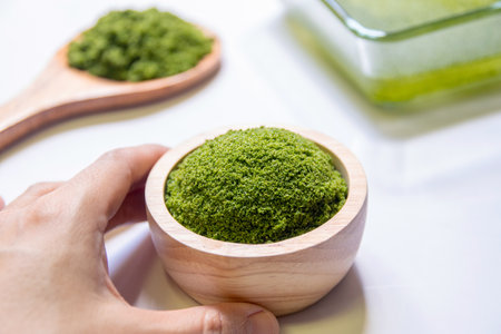 Wolffia globosa is the nutrient-rich plant-based source of protein and omega3 and vital minerals like zinc, calcium, iron, B12 and so much more. The future superfood save the worldの写真素材