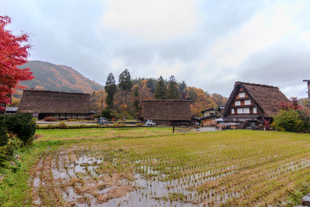 Historic buildings in Shirakawa-go, Japan. Shirakawa-go is a UNESCO World Heritage Site.の写真素材