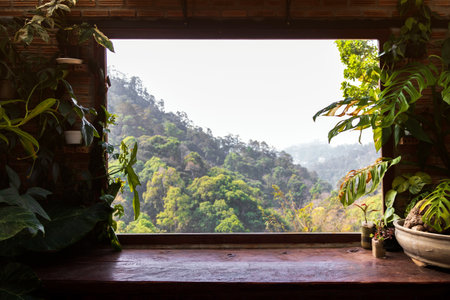 The lush green landscape outside the window is a sight to behold. The wooden table and potted plants...