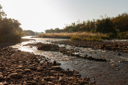 A serene river flows through a rocky landscape, illuminated by warm sunlight, surrounded by lush greenery and gentle ripples.の写真素材