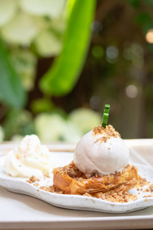 Delicious dessert with ice cream and whipped cream, beautifully presented on a plate, ideal for food enthusiasts and culinary lovers.の写真素材