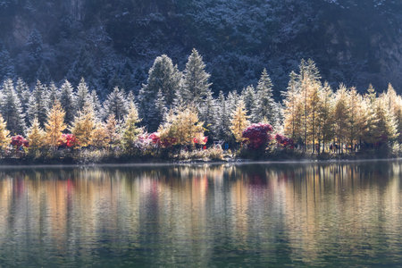 A Bipenggou in autumn winter. Golden larch and colorful shrubs line tranquil lakeshore with soft reflections and serene autumn light.の写真素材