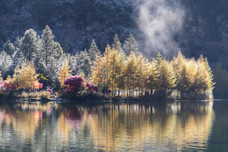 A Bipenggou in autumn winter. Golden larch trees and colorful shrubs on lakeshore reflecting in calm water with morning mist and soft sunlightの写真素材