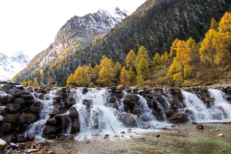An autumn waterfall with yellow larch trees snow dusted mountain ridge and flowing river evoking serene natural beauty at Bipenggou, China.の写真素材