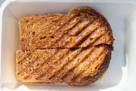 A grilled whole grain sandwich with melted cheese and golden crust, warm comforting meal with toasty...