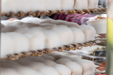 A Mao doufu or hairy tofu, or , is a traditional Chinese fermented tofu from the Anhui province known for its fuzzy white mold. The dish has been consumed in China for hundreds of years.の写真素材