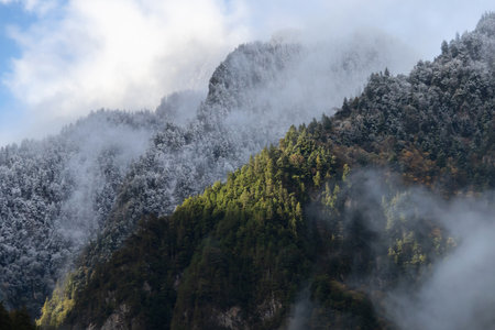 A sunlit evergreen forest on misty mountain slope with snow dusting higher peaks creating dramatic serene moodの写真素材