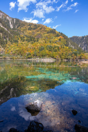 An autumn lake with clear turquoise water reflecting forested mountain and blue sky, peaceful natural scenery at Five-Flower Lake, Jiuzhaigou in Sichuan, Chinaの写真素材