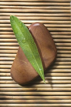 stone with leafの写真素材