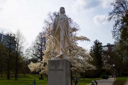 sad janka krala bratislava magnoliaの写真素材
