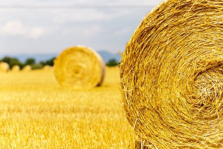 Straw bales on the field. After harvesting the grain in the summerの写真素材