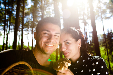 Couple picking mushrooms in the forestの写真素材