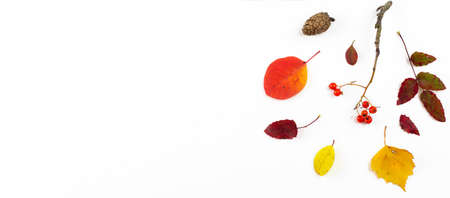 Autumn composition. Frame made of autumn leaves, acorn, pine cones on white background. Flat lay, top view, copy spaceの写真素材
