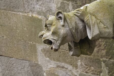 Gargoyles on the Cathedral of Carcassonneの写真素材