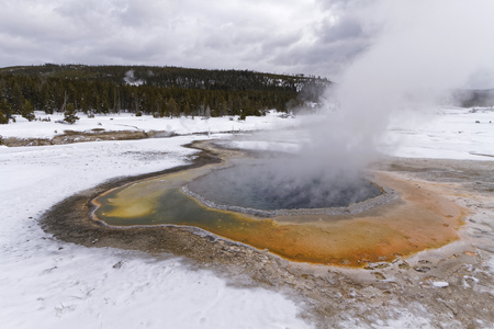 Hot springs in Old Faithful Basin, Yellowstone National Parkの写真素材