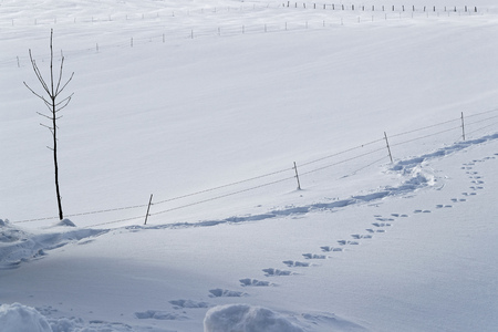 Winter landscape on the plateau of Vercors in french Alpsの写真素材