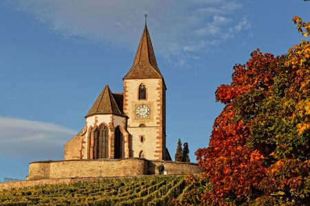 Fortified church of the Alsatian village of Hunawihr, surrounded by vineyards, with beautiful yellow autumn coloursの写真素材