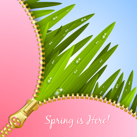 Spring grass with unzipped golden zipper and blue sky in the backgroundのイラスト素材