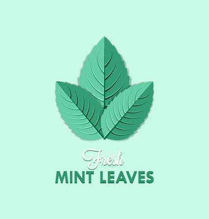 Fresh mint leaves isolated on pale green backgroundのイラスト素材