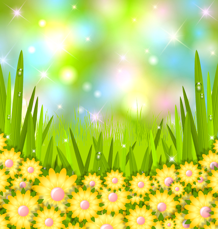 Spring grass with flowers and copy space for your custom textのイラスト素材