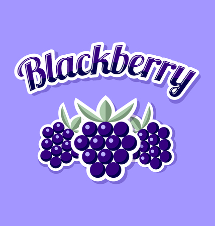 Retro blackberry with title on violet backgroundのイラスト素材