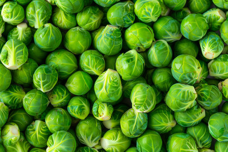 Fresh Vibrant Green Brussel Sprouts in Bulk Closeup Organic Vegetable Background for Healthy Eating and Nutrition AI Generativeの素材